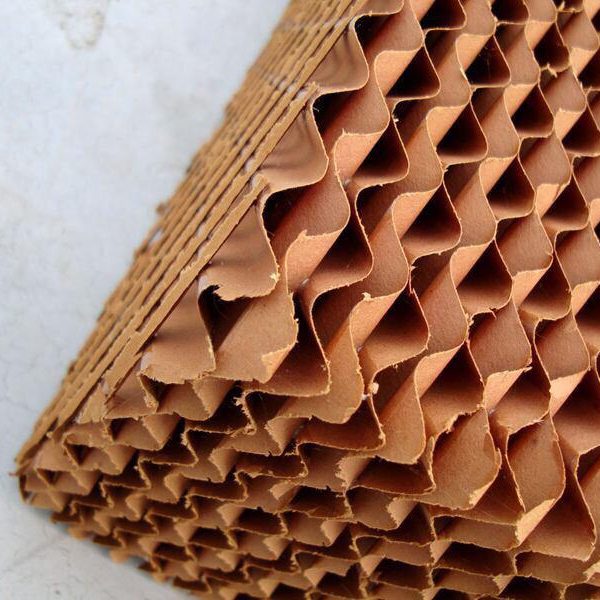 پد سلولزی مهیاسل